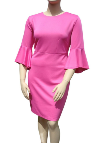 Bell Sleeve Dress 2